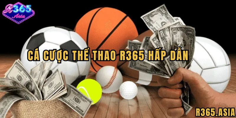 Chất lượng Thể thao R365 hoàn hảo
