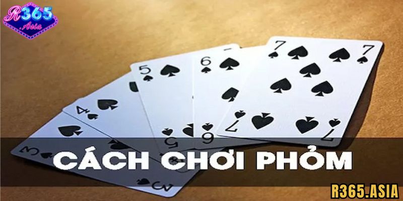 Tìm hiểu về Phỏm R365 là gì?