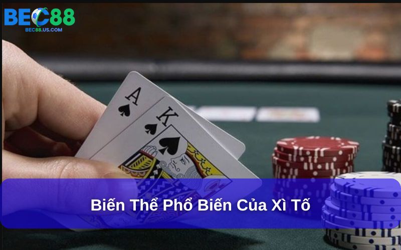 Các chiến thuật cần biết khi chơi Xì Tố tại Bec88 Các chiến thuật cần biết khi chơi Xì Tố tại Bec88