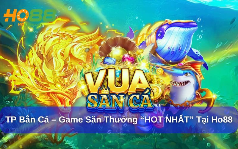 Tại sao TP Bắn Cá tại Ho88 lại trở thành hiện tượng? Tại sao TP Bắn Cá tại Ho88 lại trở thành hiện tượng?